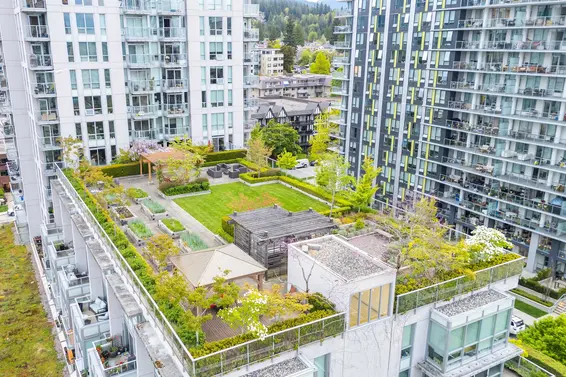 701 135 East 17th Street, North Vancouver For Sale - image 29