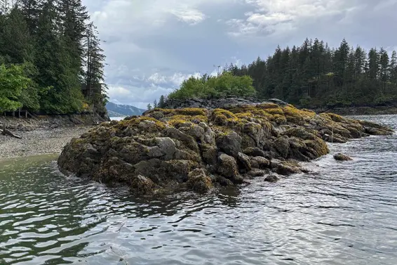 Lot 16 Twin Island, North Vancouver For Sale - image 16