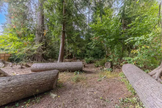 4482 Cove Cliff Road, North Vancouver For Sale - image 38