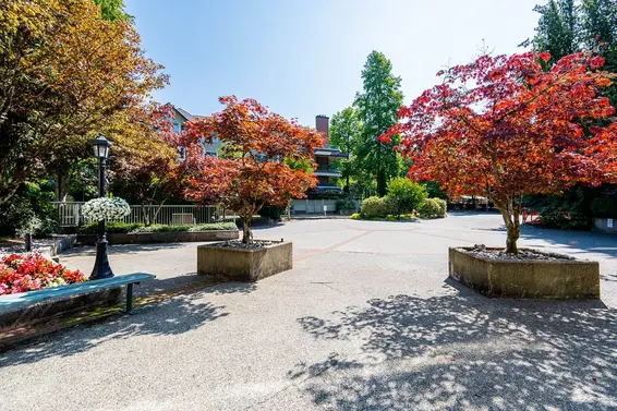 411 3658 Banff Court, North Vancouver For Sale - image 34