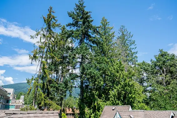 5 1075 Lynn Valley Road, North Vancouver For Sale - image 33