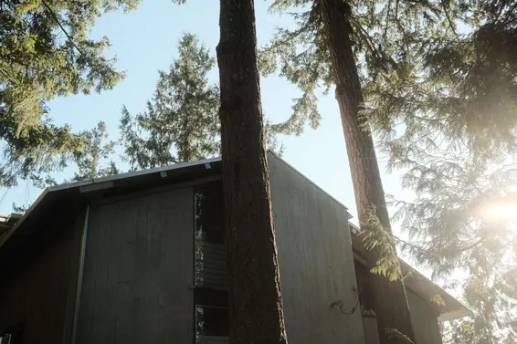 5757 Telegraph Trail, West Vancouver For Sale - image 10