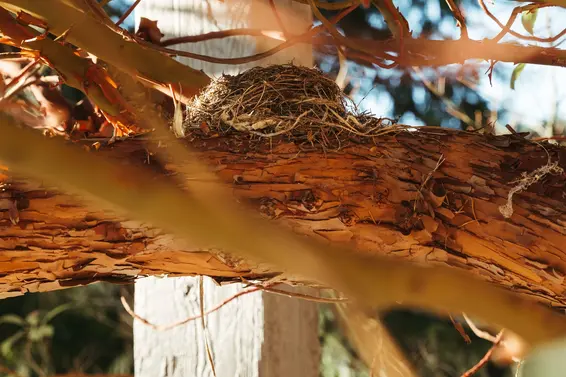 5757 Telegraph Trail, West Vancouver For Sale - image 8