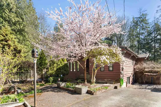 2152 Mackay Avenue, North Vancouver For Sale - image 37