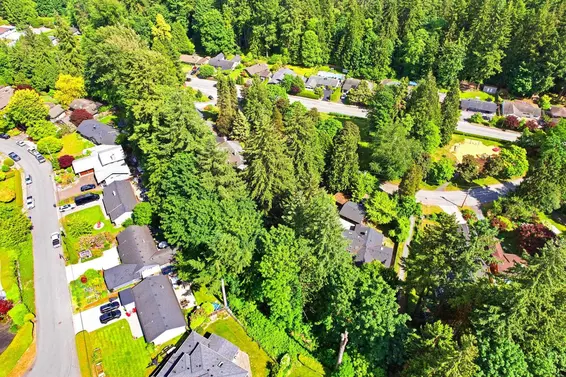 1463 Avonlynn Crescent, North Vancouver For Sale - image 21