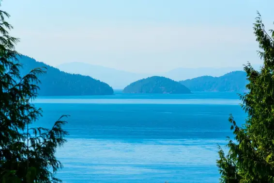 25 Tidewater Way, Lions Bay For Sale - image 25