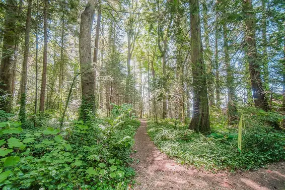 16 Passage Island, West Vancouver For Sale - image 16