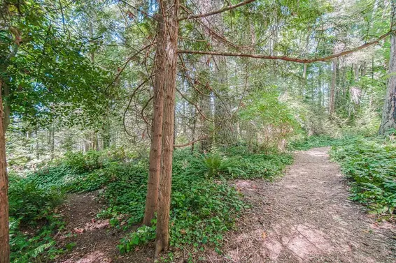 16 Passage Island, West Vancouver For Sale - image 19