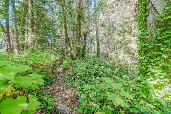 16 Passage Island, West Vancouver For Sale - image 24