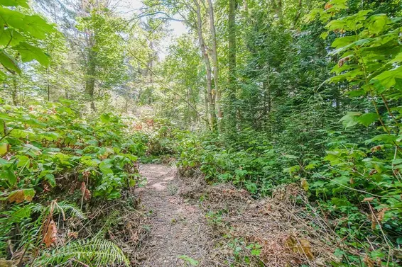16 Passage Island, West Vancouver For Sale - image 26