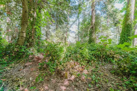 16 Passage Island, West Vancouver For Sale - image 27