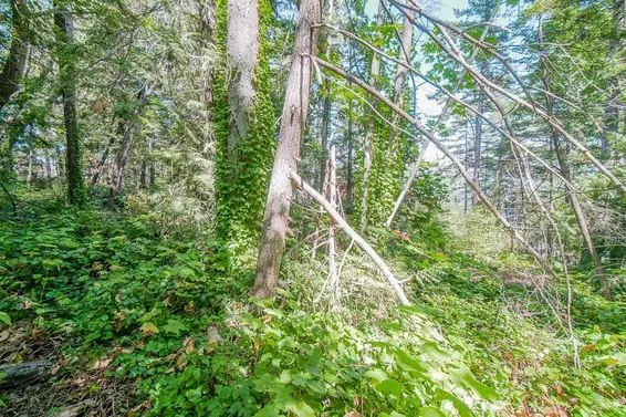 16 Passage Island, West Vancouver For Sale - image 28
