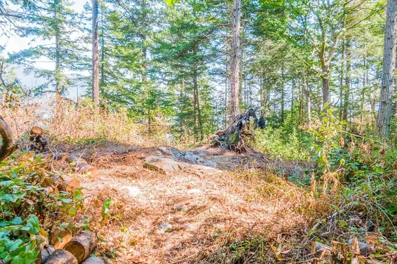 16 Passage Island, West Vancouver For Sale - image 3