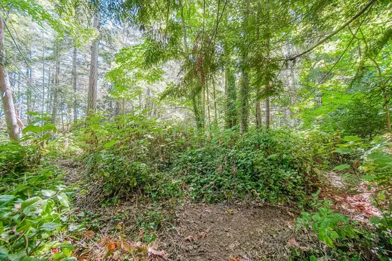 16 Passage Island, West Vancouver For Sale - image 31