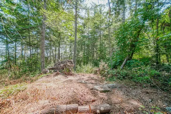 16 Passage Island, West Vancouver For Sale - image 4