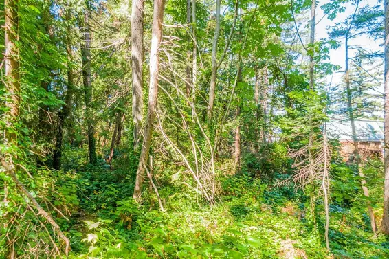 16 Passage Island, West Vancouver For Sale - image 7