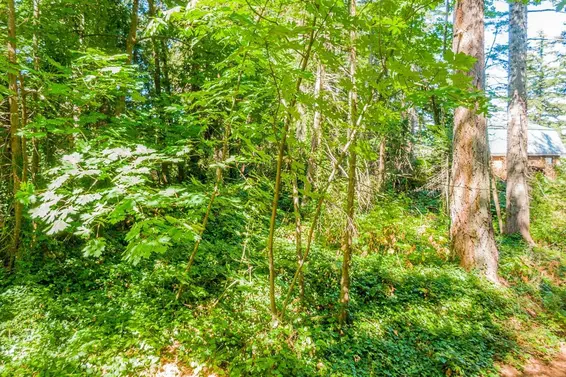 16 Passage Island, West Vancouver For Sale - image 8