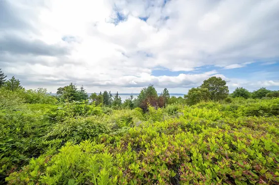 49 2202 Folkestone Way, West Vancouver For Sale - image 22
