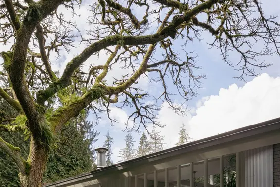 425 Rabbit Lane, West Vancouver For Sale - image 6