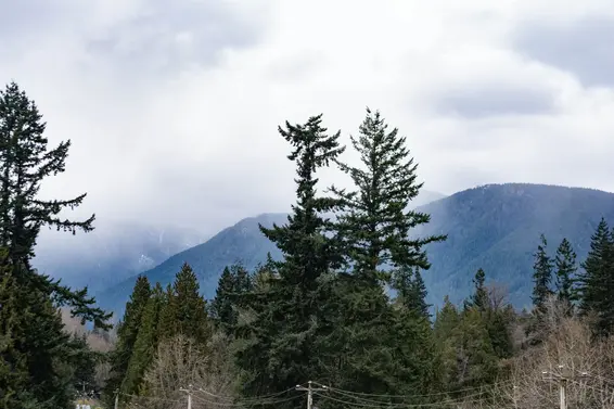 401 1629 Garden Avenue, North Vancouver For Sale - image 19