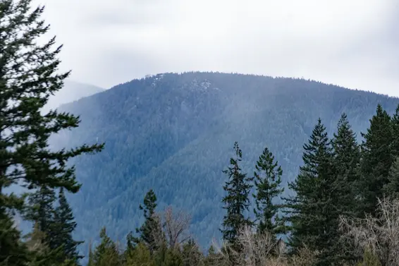 401 1629 Garden Avenue, North Vancouver For Sale - image 20