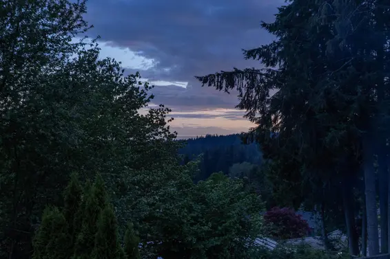673 Sylvan Avenue, North Vancouver For Sale - image 36