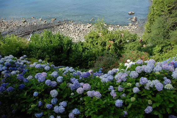 7145 Cliff Road, West Vancouver For Sale - image 13