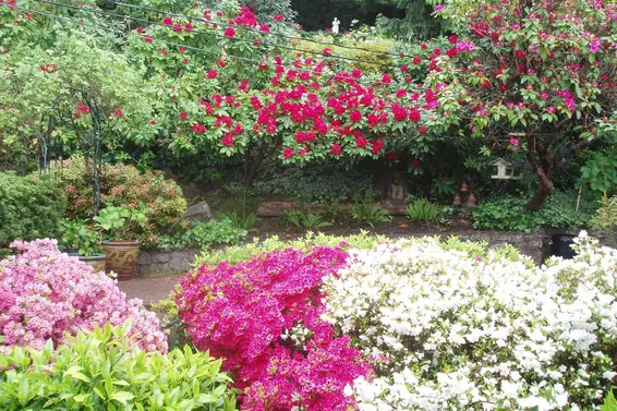 7145 Cliff Road, West Vancouver For Sale - image 19