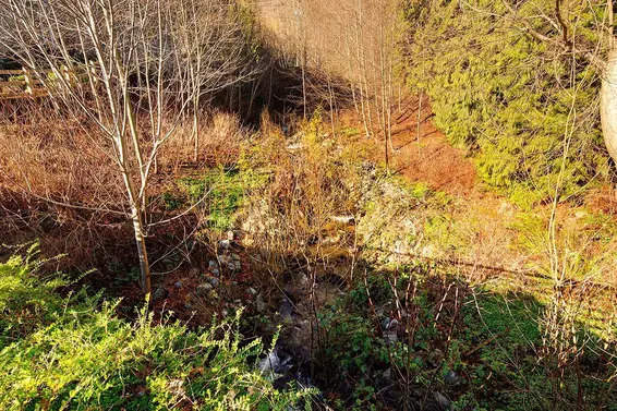 207 3825 Cates Landing Way, North Vancouver For Sale - image 29