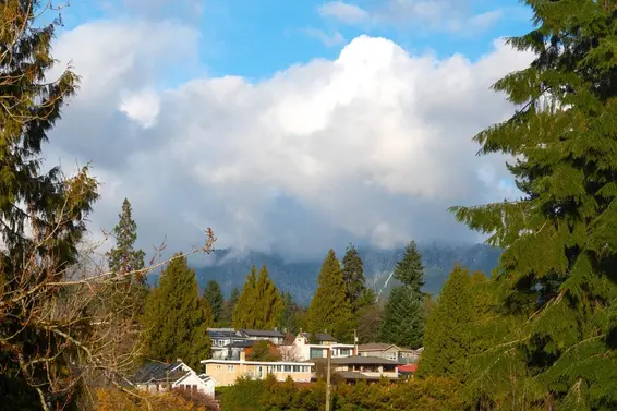 505 1425 Esquimalt Avenue, West Vancouver For Sale - image 11