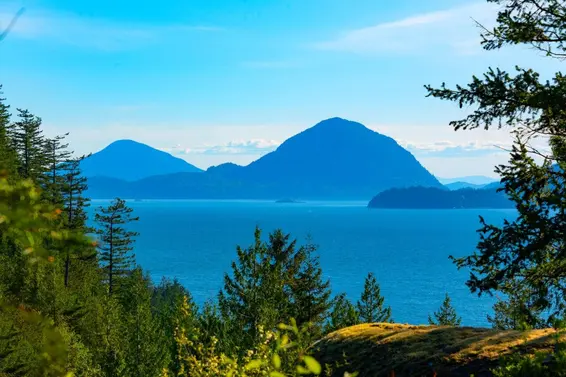 182 Furry Creek Drive, Furry Creek For Sale - image 34