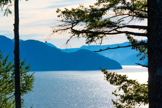 182 Furry Creek Drive, Furry Creek For Sale - image 35