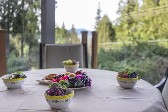 257 Bayview Road, Lions Bay For Sale - image 26