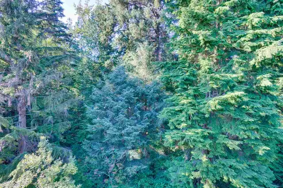 408 3690 Banff Court, North Vancouver For Sale - image 8