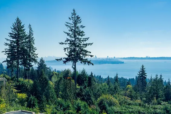 703 3131 Deer Ridge Drive, West Vancouver For Sale - image 8