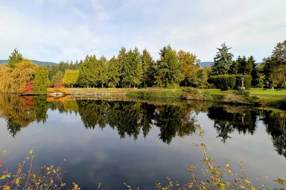 3D 328 Taylor Way, West Vancouver For Sale - image 29