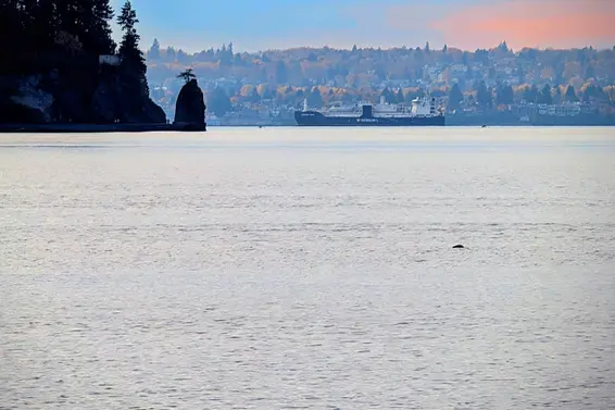 3D 328 Taylor Way, West Vancouver For Sale - image 33