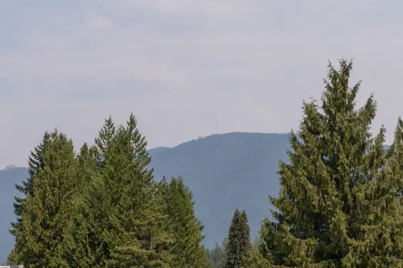 402 3220 Connaught Crescent, North Vancouver For Sale - image 25