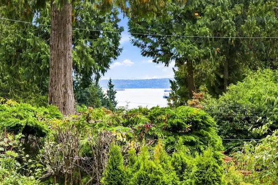 2953 Altamont Crescent, West Vancouver For Sale - image 37
