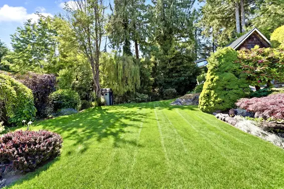 445 North Oxley Street, West Vancouver For Sale - image 36