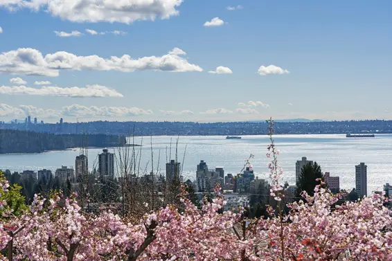 2220 Queens Avenue, West Vancouver For Sale - image 16