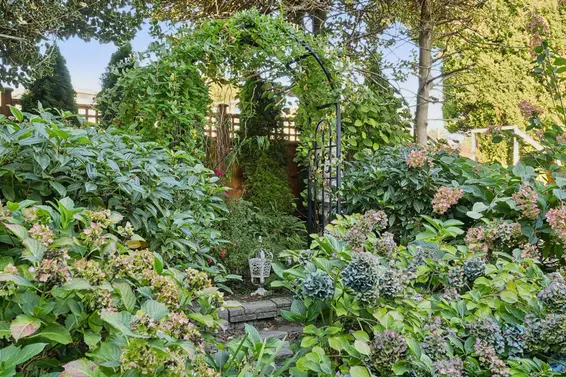 333 East Keith Road, North Vancouver For Sale - image 33