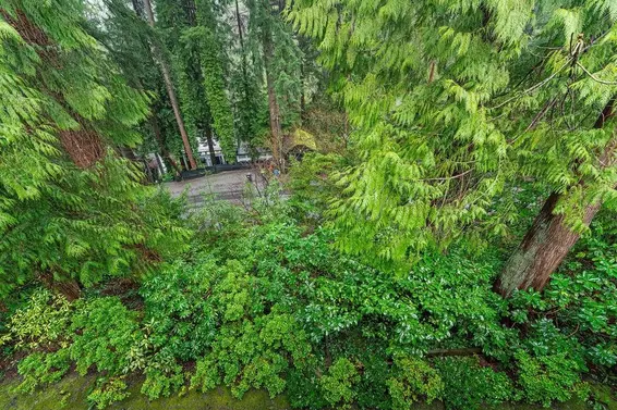 301 3288 Capilano Crescent, North Vancouver For Sale - image 38