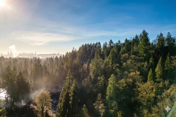 2266 Swinburne Avenue, North Vancouver For Sale - image 39