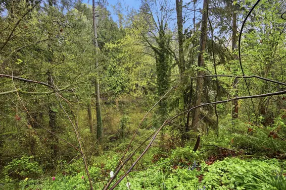 1852 Larson Road, North Vancouver For Sale - image 35