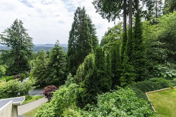 1241 Coleman Street, North Vancouver For Sale - image 12