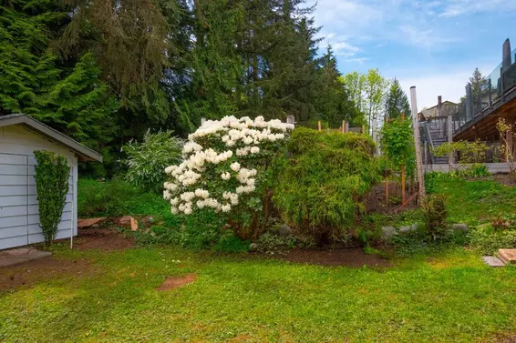 4057 Violet Street, North Vancouver For Sale - image 38
