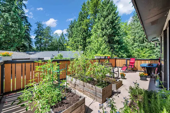 3255 Milton Avenue, North Vancouver For Sale - image 17