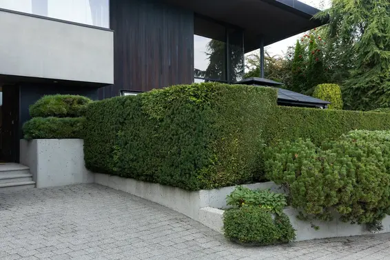 1015 Eyremount Drive, West Vancouver For Sale - image 37