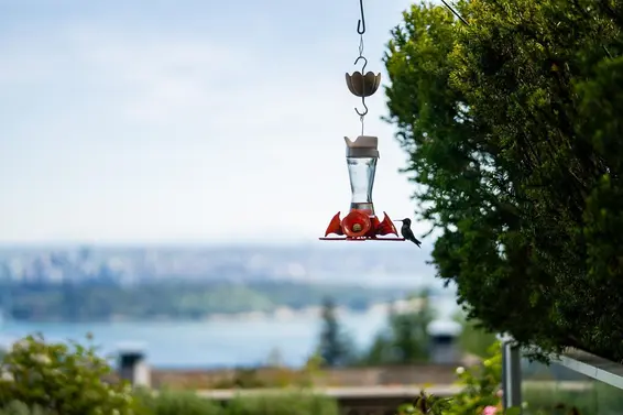 103 2210 Chippendale Road, West Vancouver For Sale - image 32